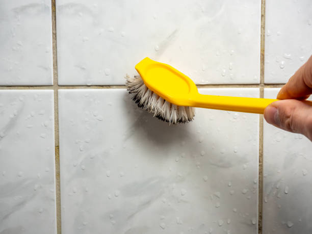Best Fast Mold Removal  in Garfield Heights, OH