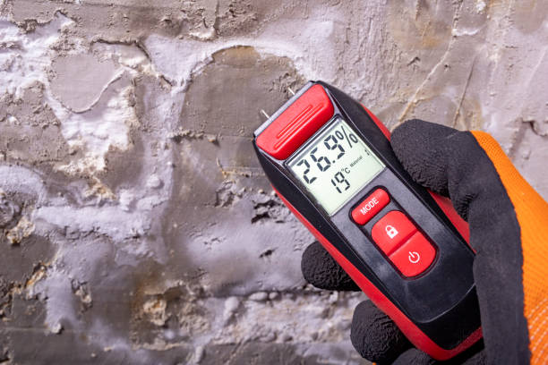 Best Same-Day Mold Removal  in Garfield Heights, OH